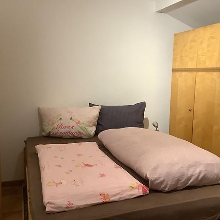 Ferienwohnung Apartment Doppelzimmer In Der Villa Naturpark Rheinblick, Ruhig, Aussicht, Pool كوبلنس المظهر الخارجي الصورة