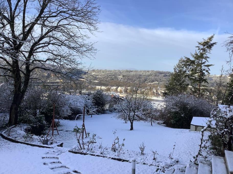 Ferienwohnung Apartment Doppelzimmer In Der Villa Naturpark Rheinblick, Ruhig, Aussicht, Pool كوبلنس المظهر الخارجي الصورة