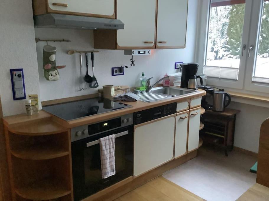 Ferienwohnung Apartment Doppelzimmer In Der Villa Naturpark Rheinblick, Ruhig, Aussicht, Pool كوبلنس المظهر الخارجي الصورة