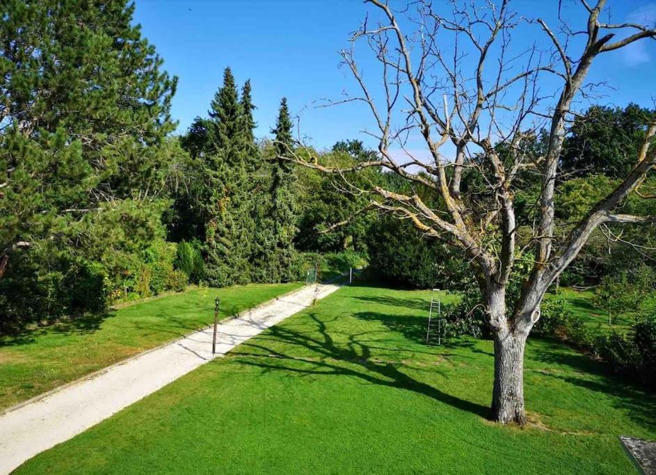 Ferienwohnung Apartment Doppelzimmer In Der Villa Naturpark Rheinblick, Ruhig, Aussicht, Pool كوبلنس المظهر الخارجي الصورة