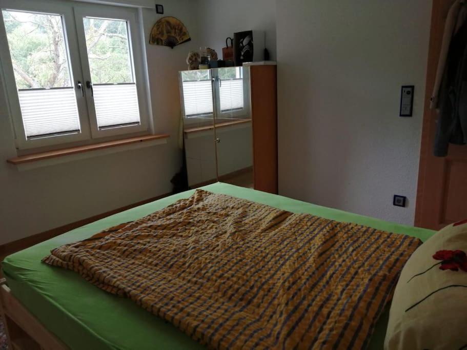 Ferienwohnung Apartment Doppelzimmer In Der Villa Naturpark Rheinblick, Ruhig, Aussicht, Pool كوبلنس المظهر الخارجي الصورة
