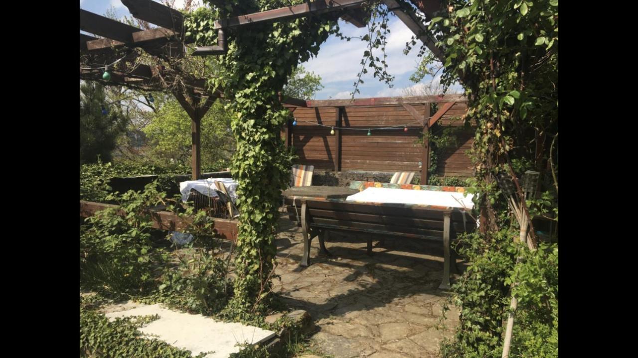 Ferienwohnung Apartment Doppelzimmer In Der Villa Naturpark Rheinblick, Ruhig, Aussicht, Pool كوبلنس المظهر الخارجي الصورة